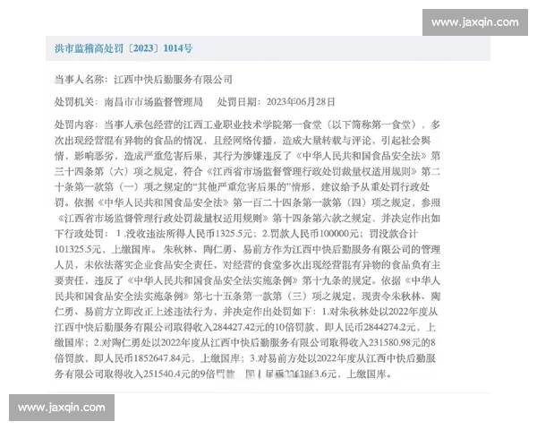 有关部门公布处罚结果多名责任人被严肃处理并追责到位落实